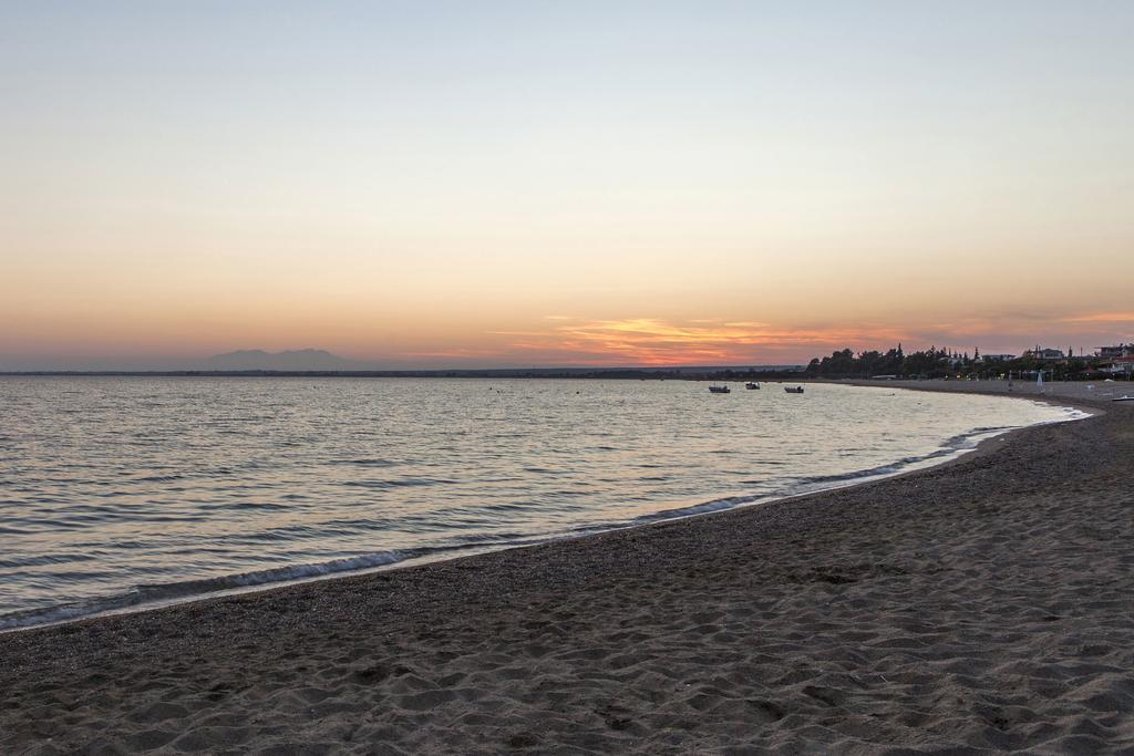 Coral Blue Beach Hotel เยราคินิ ภายนอก รูปภาพ